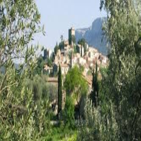 Vente Immobilier Professionnel Terrains Le Revest-les-Eaux 83200